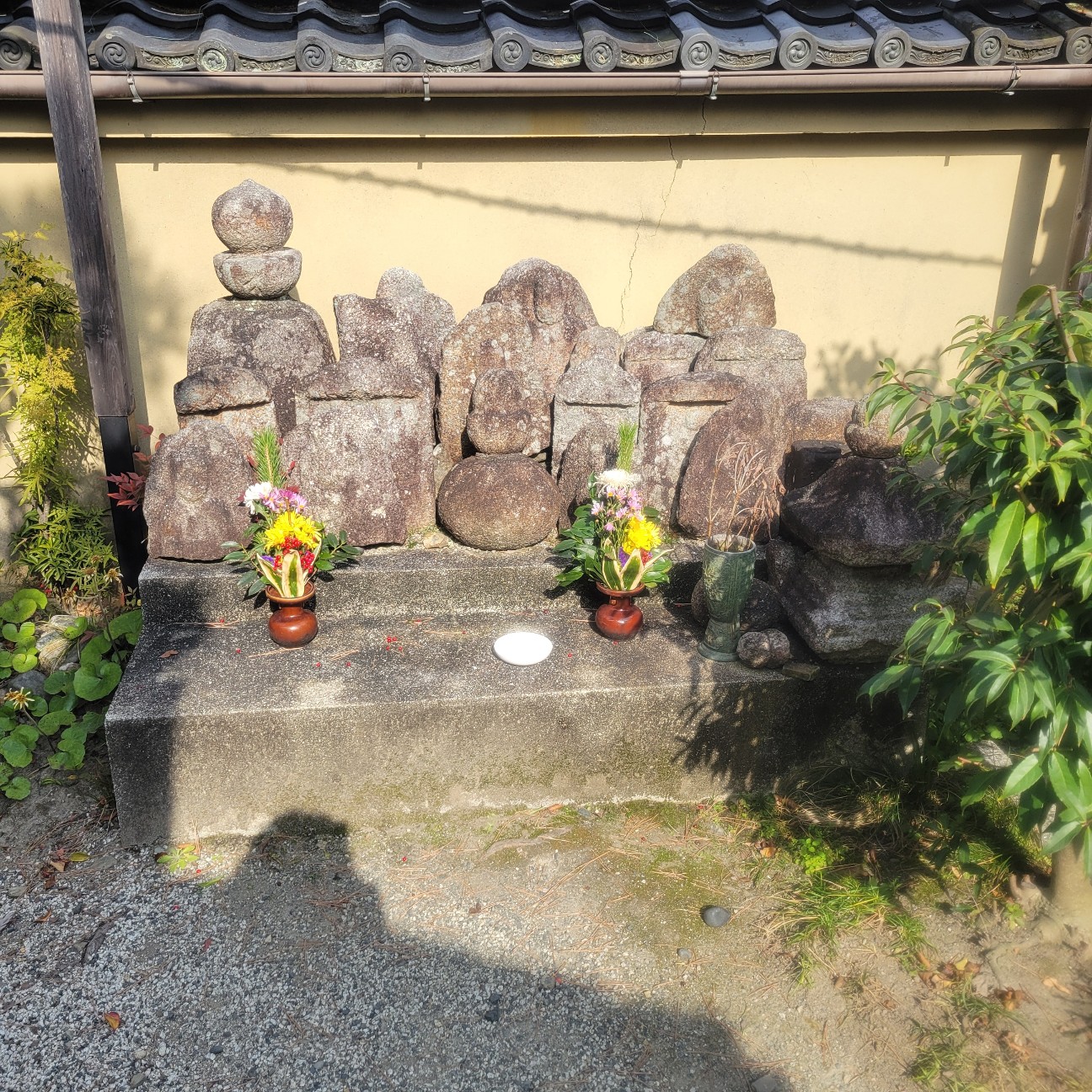 f:id:atoriatoriatori:20260216182818j:image
