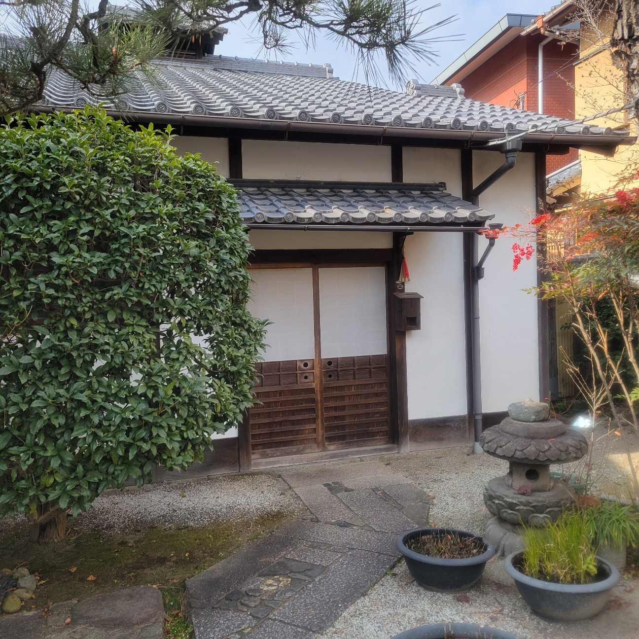f:id:atoriatoriatori:20260216182819j:image