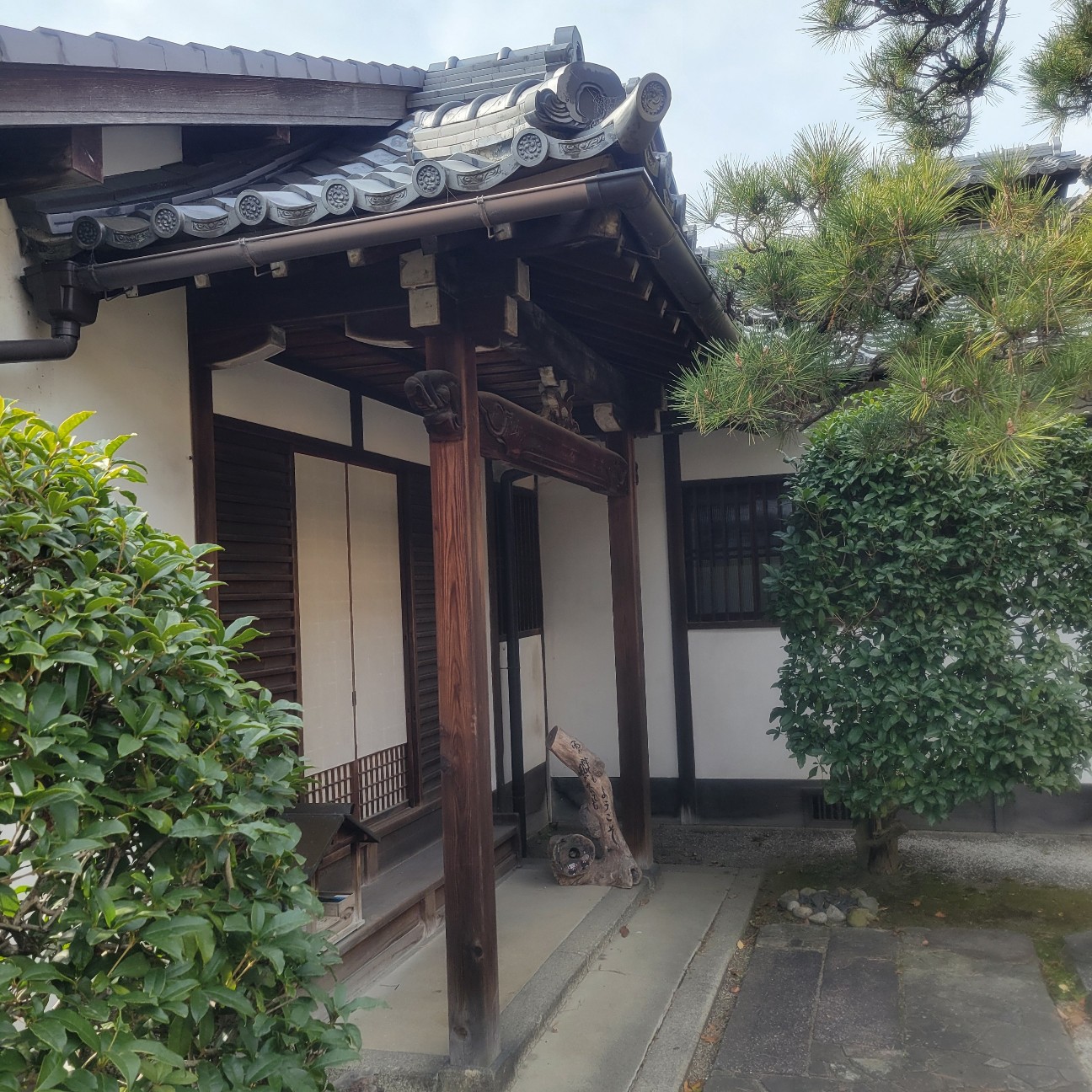f:id:atoriatoriatori:20260216182822j:image
