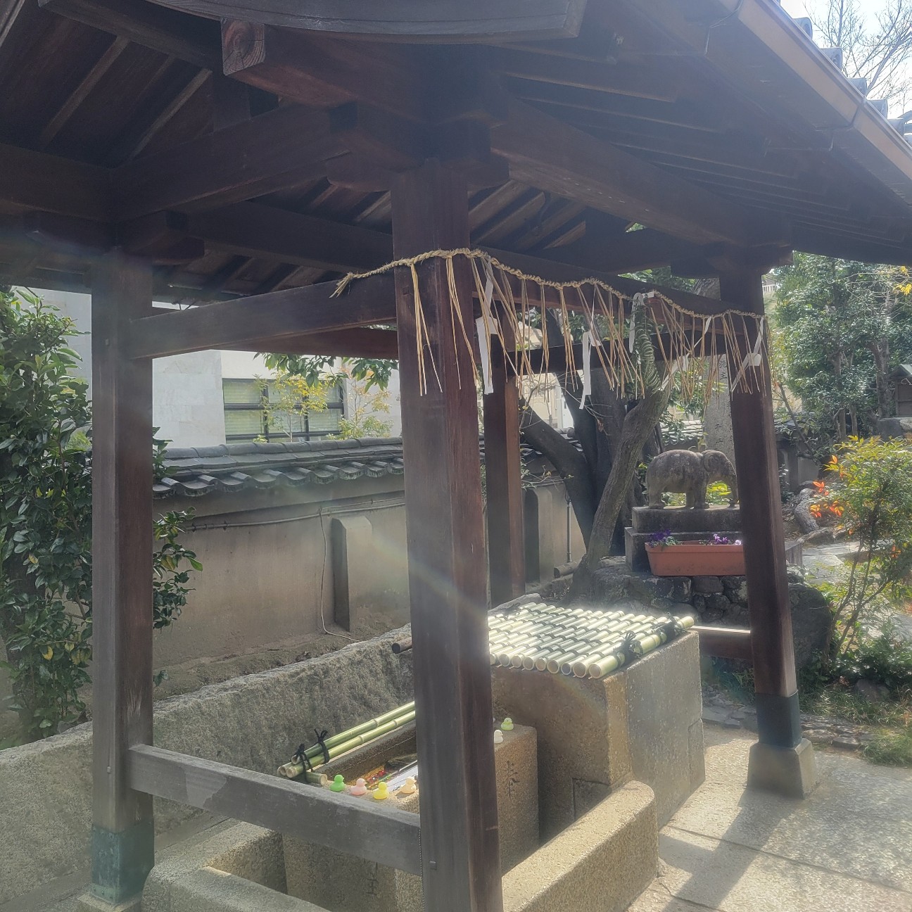 f:id:atoriatoriatori:20260216183813j:image