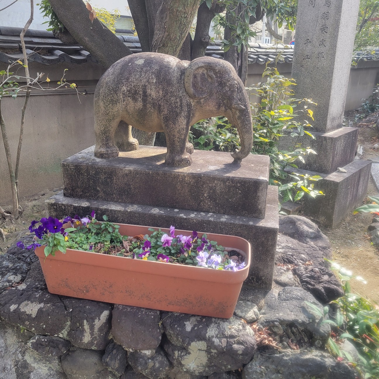 f:id:atoriatoriatori:20260216210743j:image