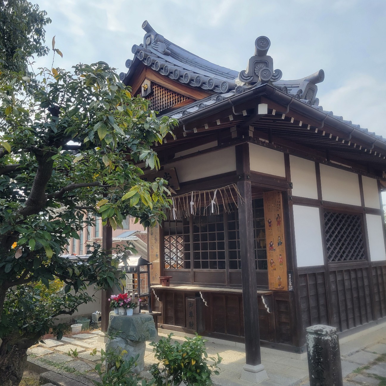 f:id:atoriatoriatori:20260217083209j:image