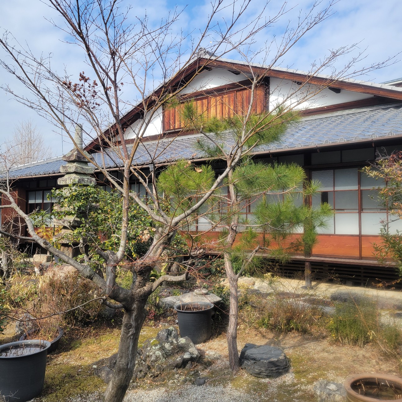 f:id:atoriatoriatori:20260217083214j:image