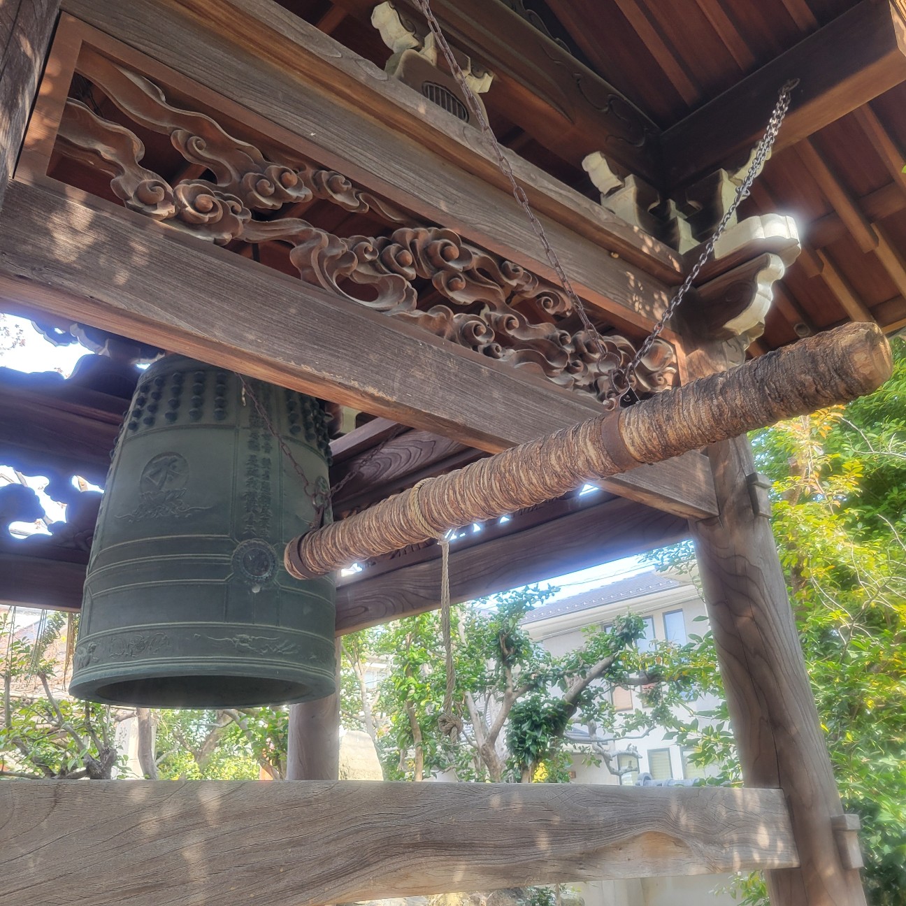 f:id:atoriatoriatori:20260217083428j:image