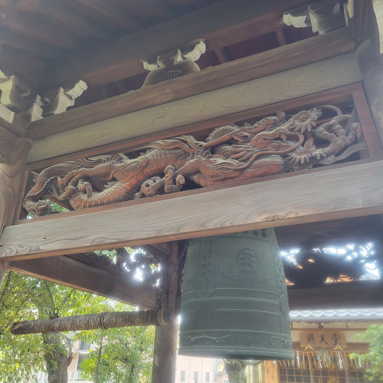f:id:atoriatoriatori:20260217083429j:image