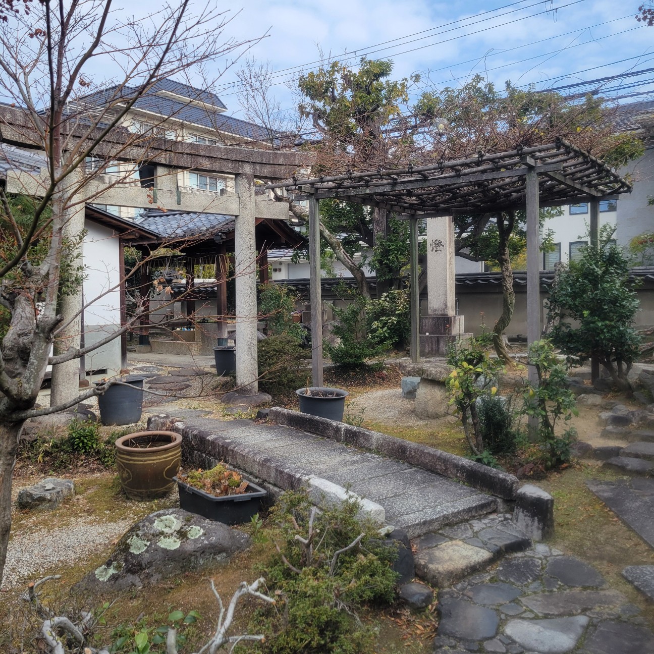 f:id:atoriatoriatori:20260217085056j:image