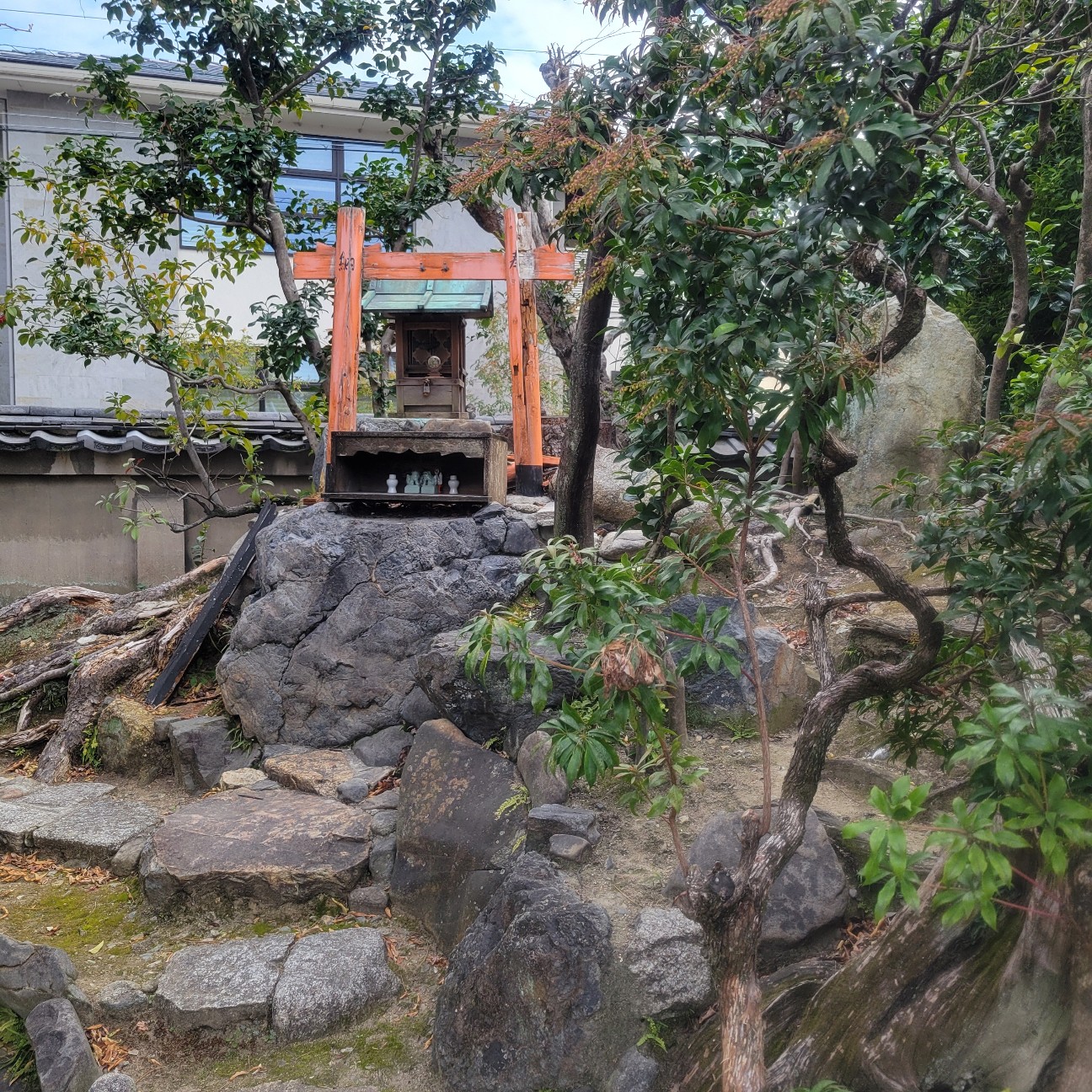 f:id:atoriatoriatori:20260217102028j:image