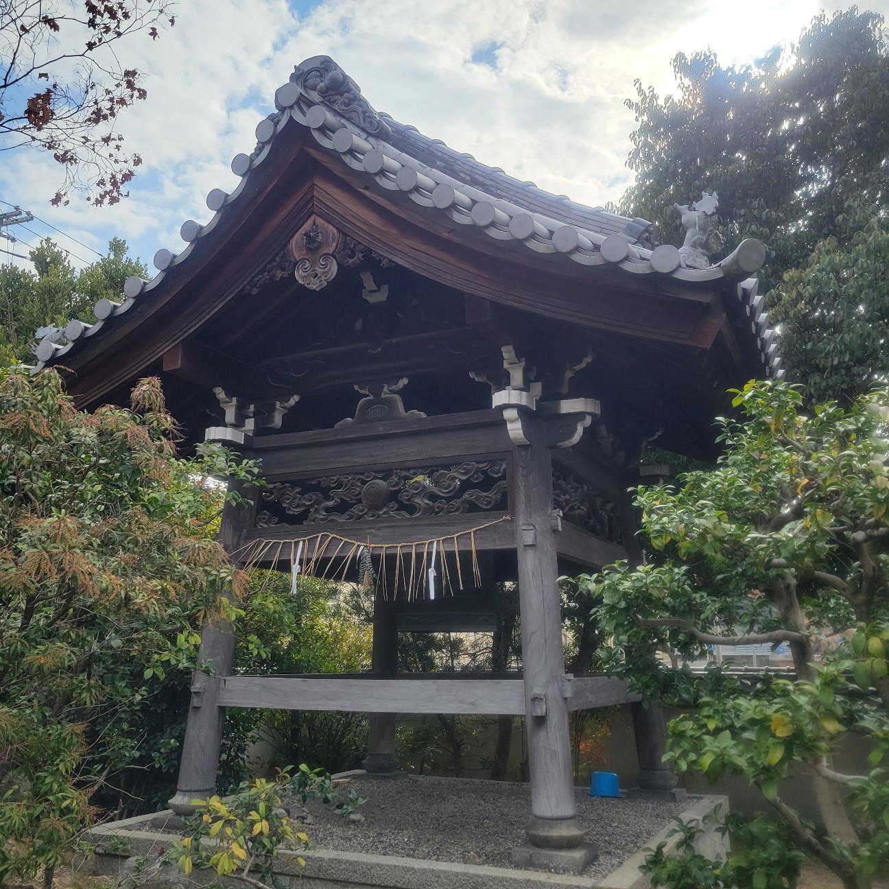 f:id:atoriatoriatori:20260217102041j:image