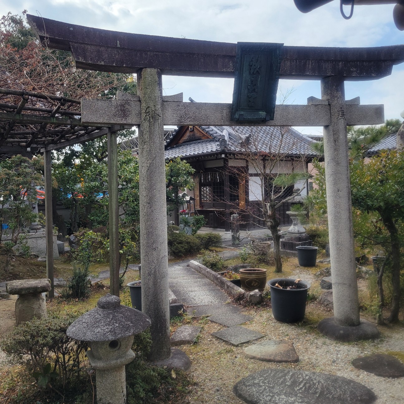 f:id:atoriatoriatori:20260217102302j:image