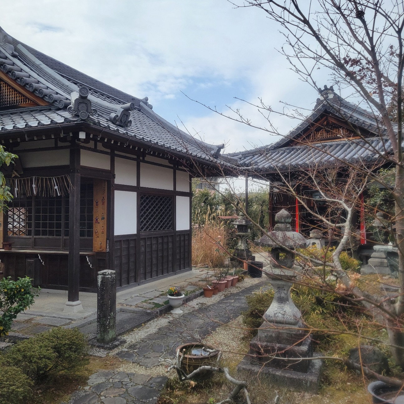 f:id:atoriatoriatori:20260217102333j:image