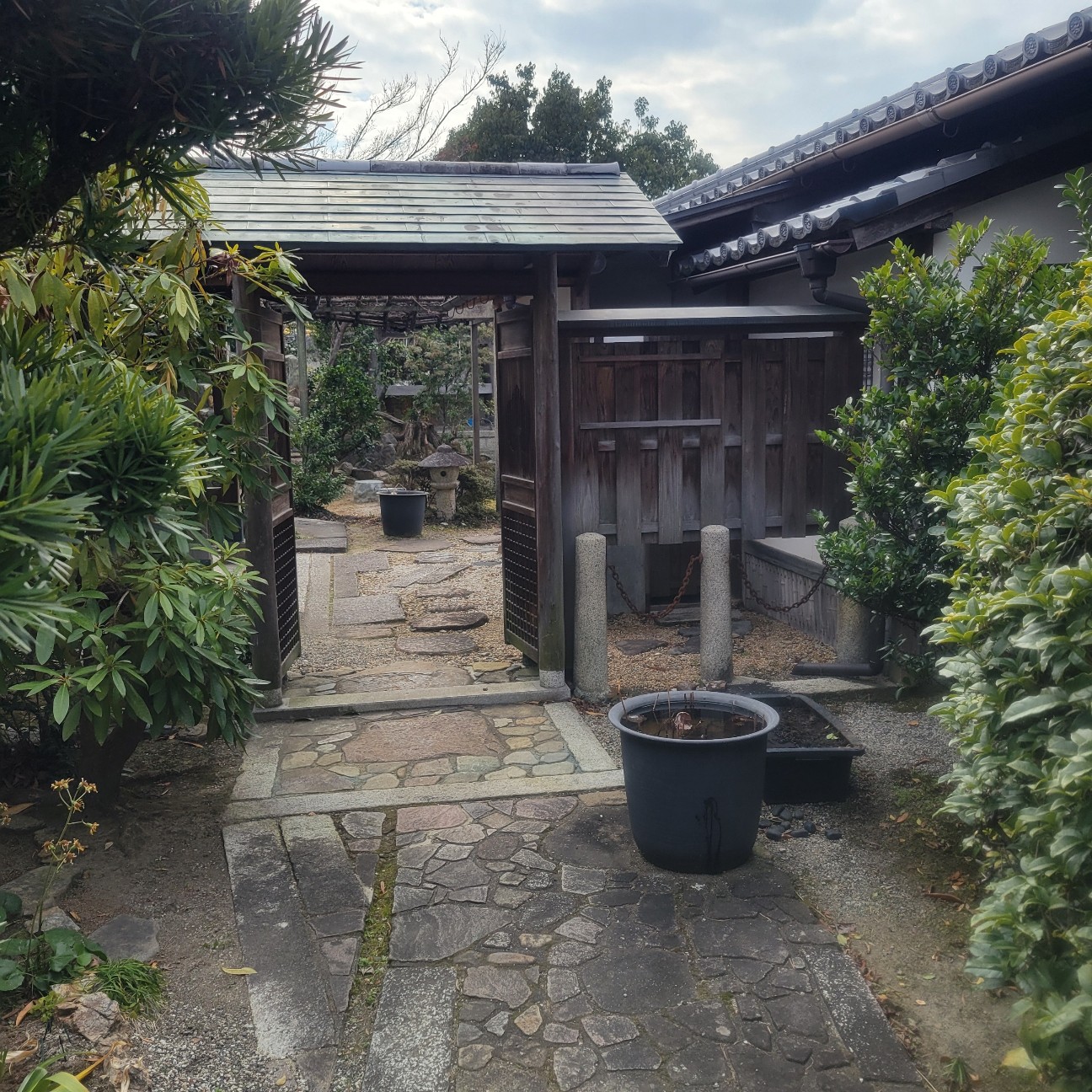 f:id:atoriatoriatori:20260217103729j:image