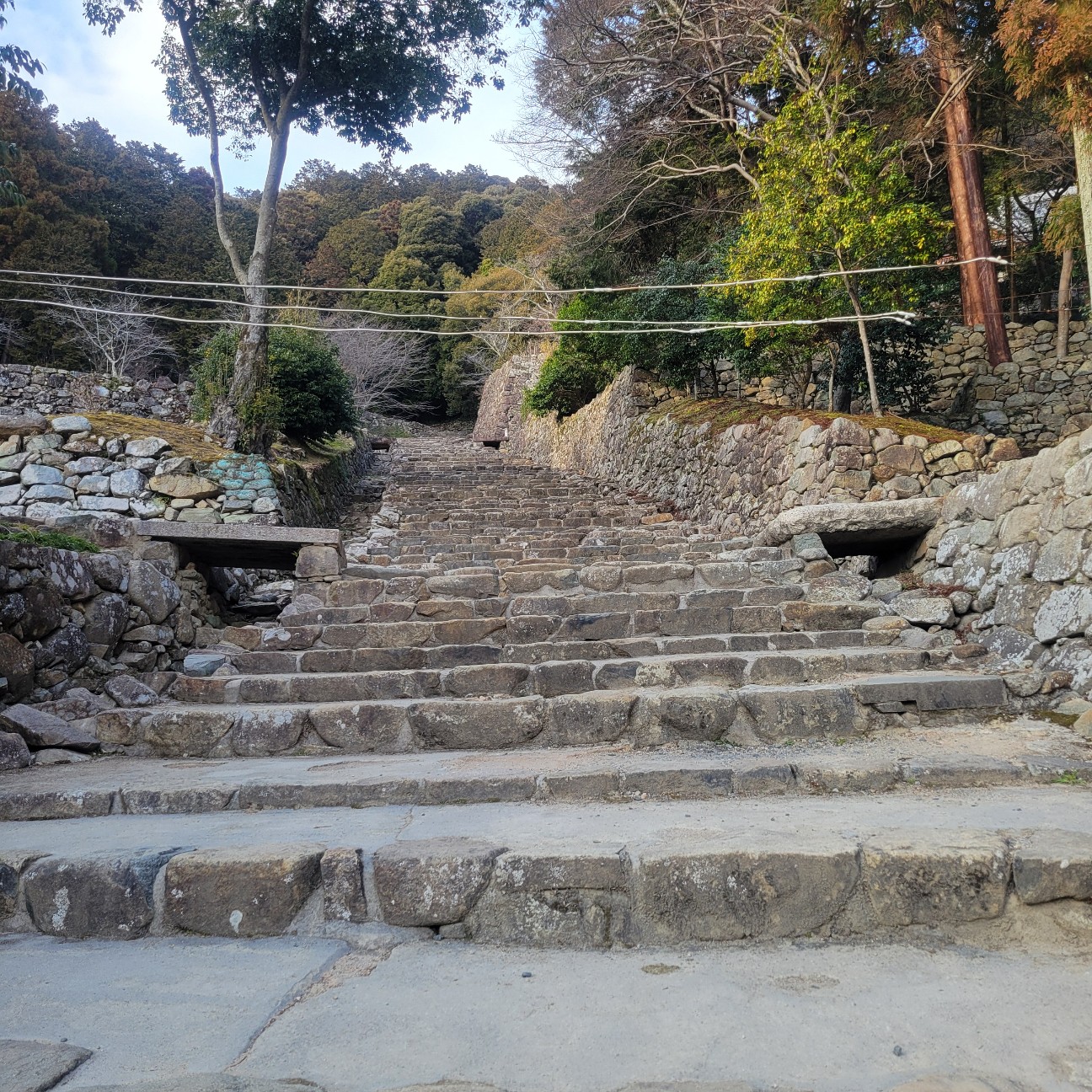 f:id:atoriatoriatori:20260218184515j:image f:id:atoriatoriatori:20260218184515j:image