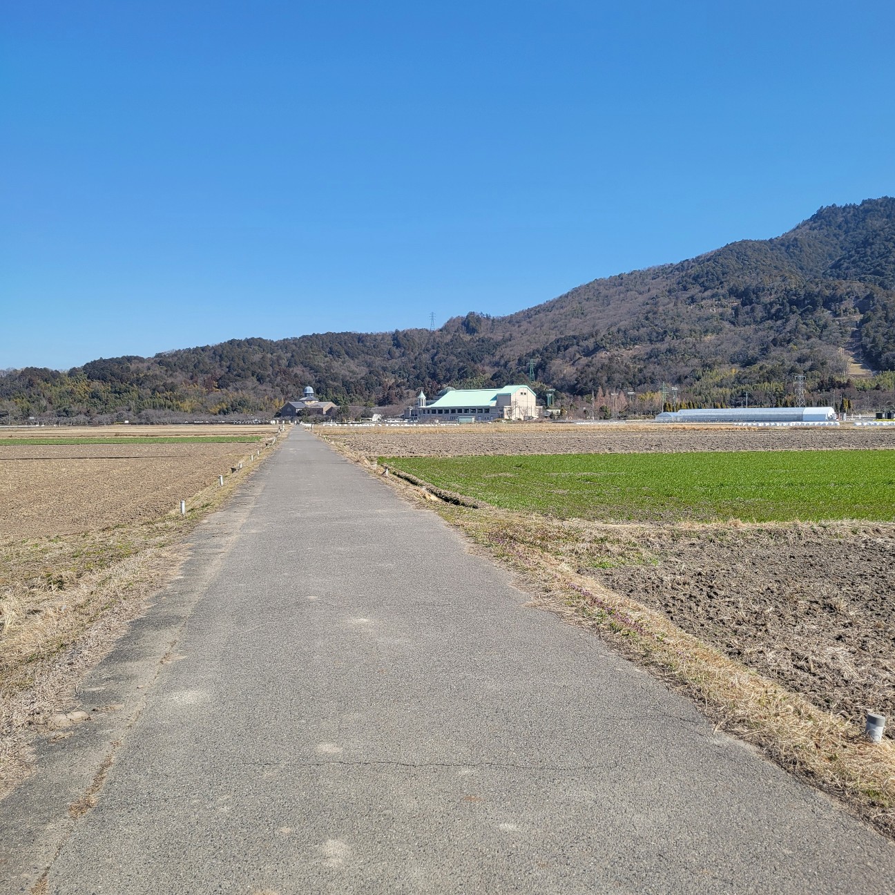 f:id:atoriatoriatori:20260220085812j:image f:id:atoriatoriatori:20260220085812j:image
