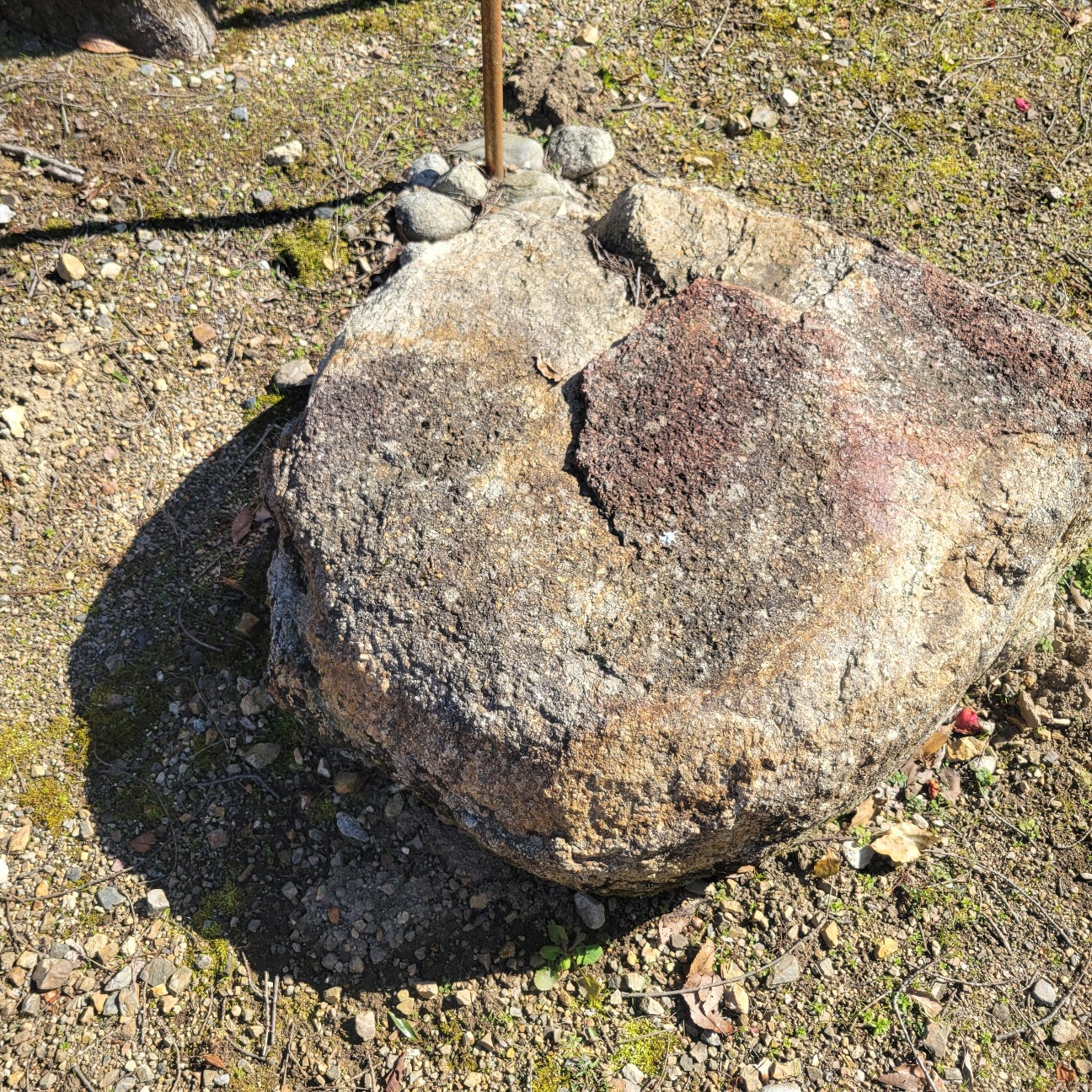 f:id:atoriatoriatori:20260220154745j:image f:id:atoriatoriatori:20260220154745j:image