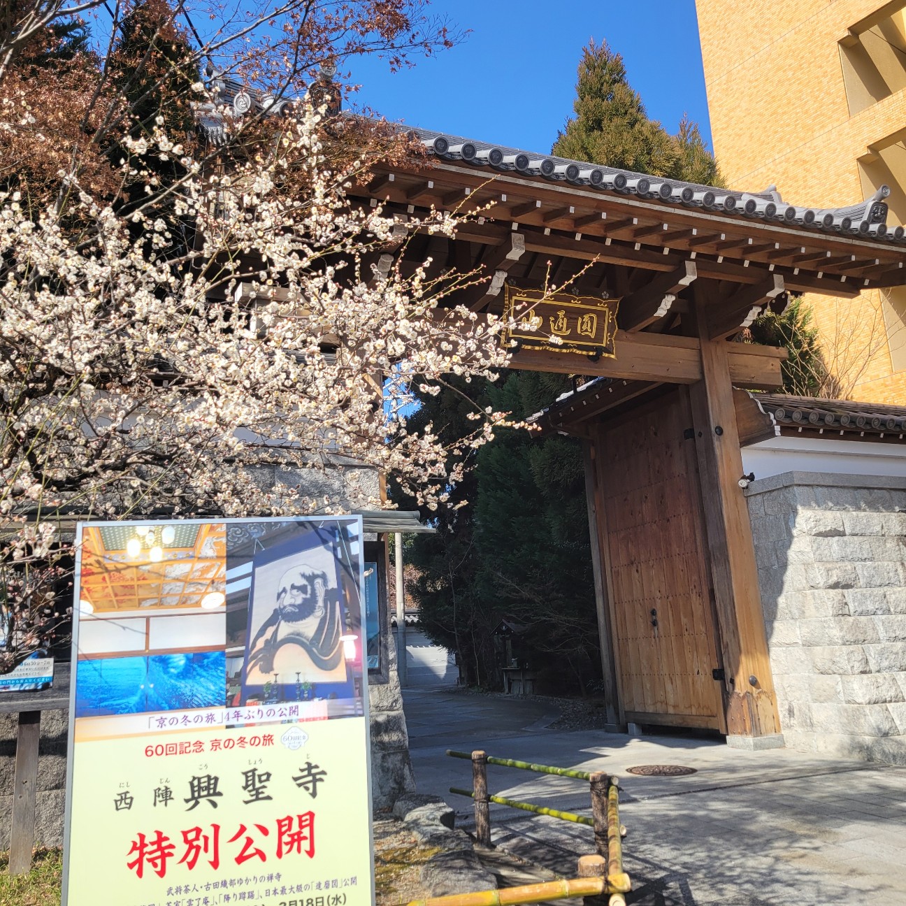 f:id:atoriatoriatori:20260221163504j:image f:id:atoriatoriatori:20260221163504j:image