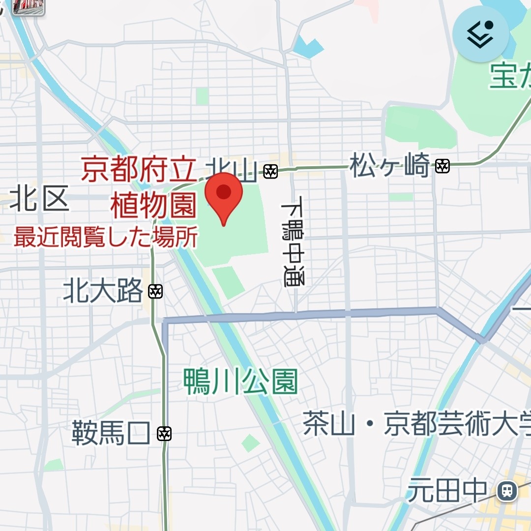 f:id:atoriatoriatori:20260221202510j:image