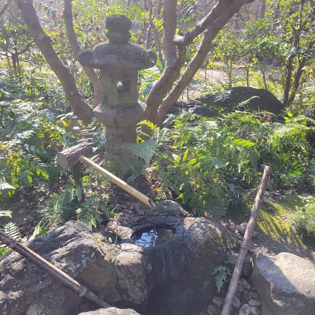 f:id:atoriatoriatori:20260222090236j:image