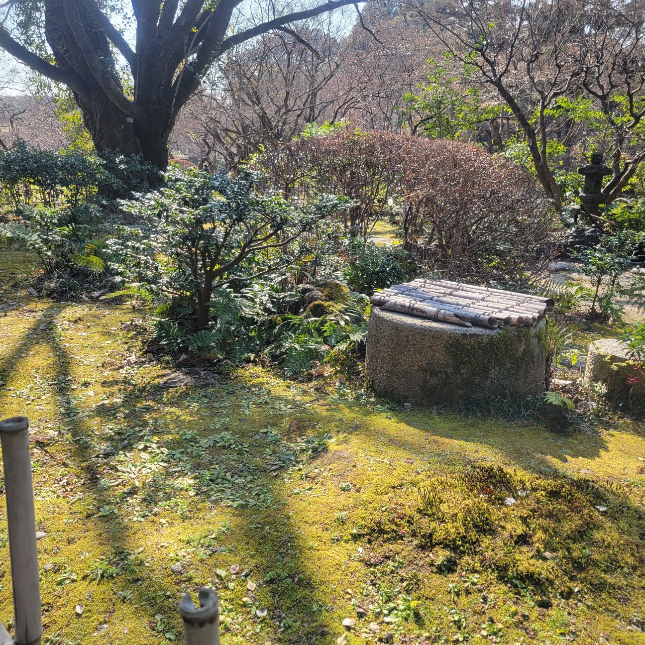 f:id:atoriatoriatori:20260222090237j:image