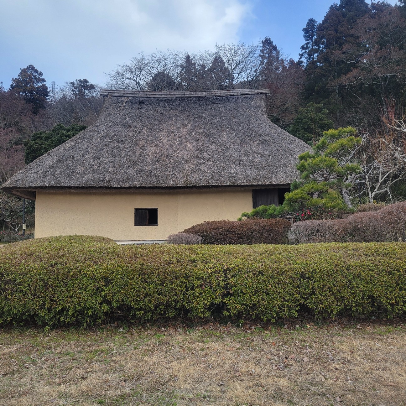 f:id:atoriatoriatori:20260224134209j:image
