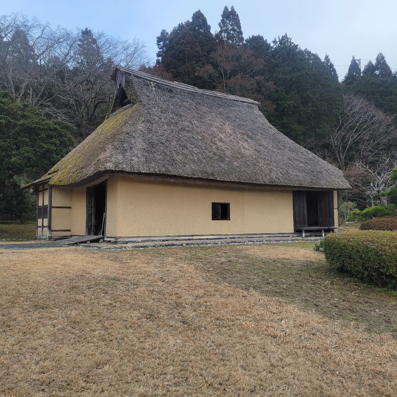 f:id:atoriatoriatori:20260224134210j:image
