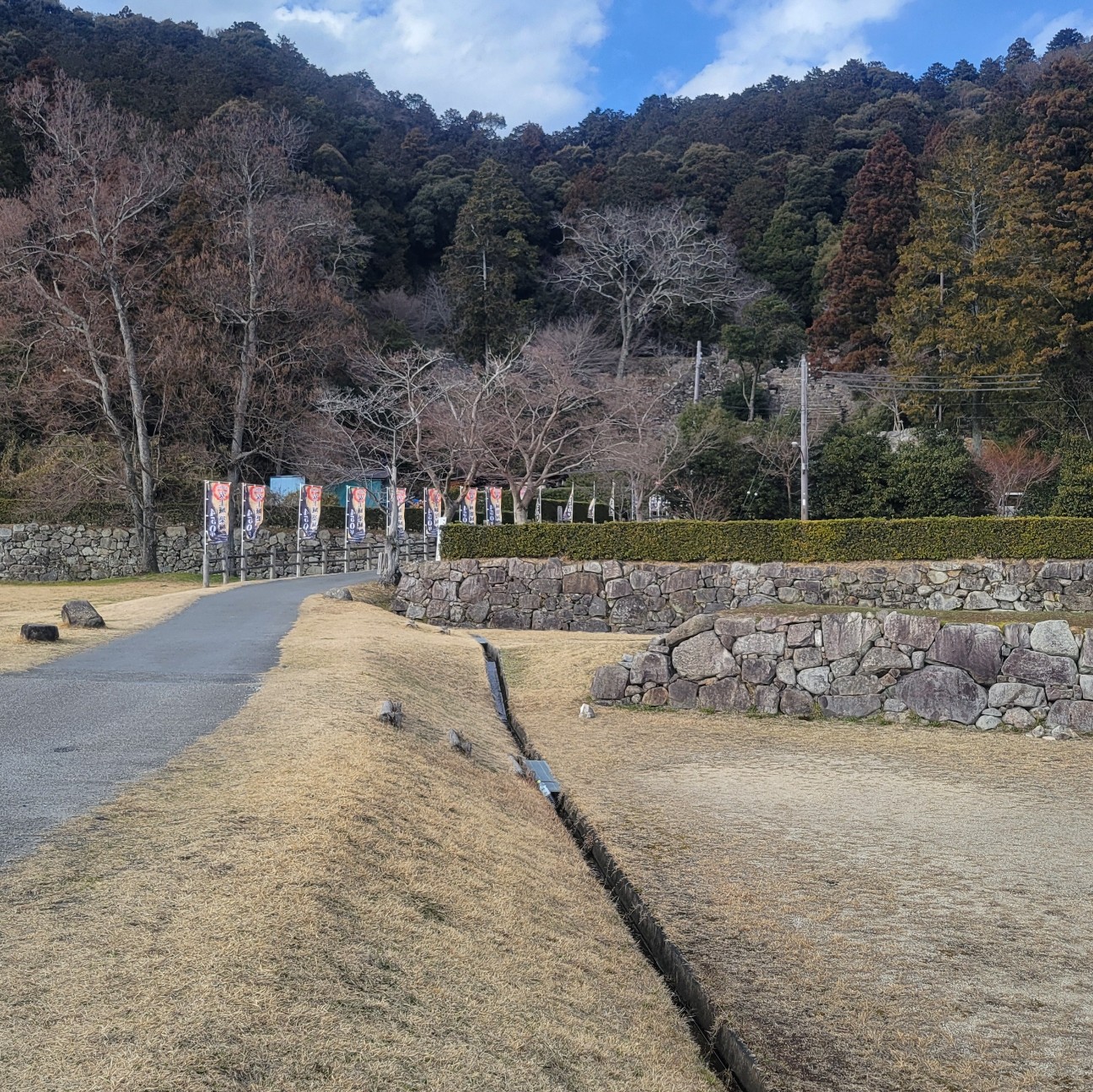 f:id:atoriatoriatori:20260224200958j:image f:id:atoriatoriatori:20260224200958j:image