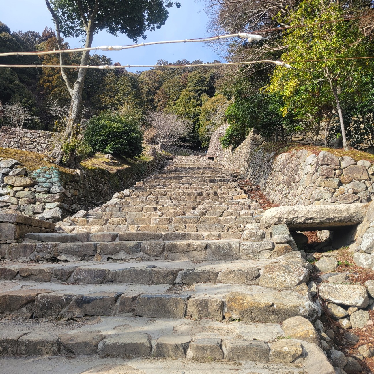 f:id:atoriatoriatori:20260225085026j:image f:id:atoriatoriatori:20260225085026j:image
