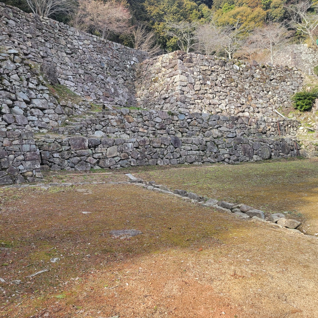 f:id:atoriatoriatori:20260225095804j:image f:id:atoriatoriatori:20260225095804j:image