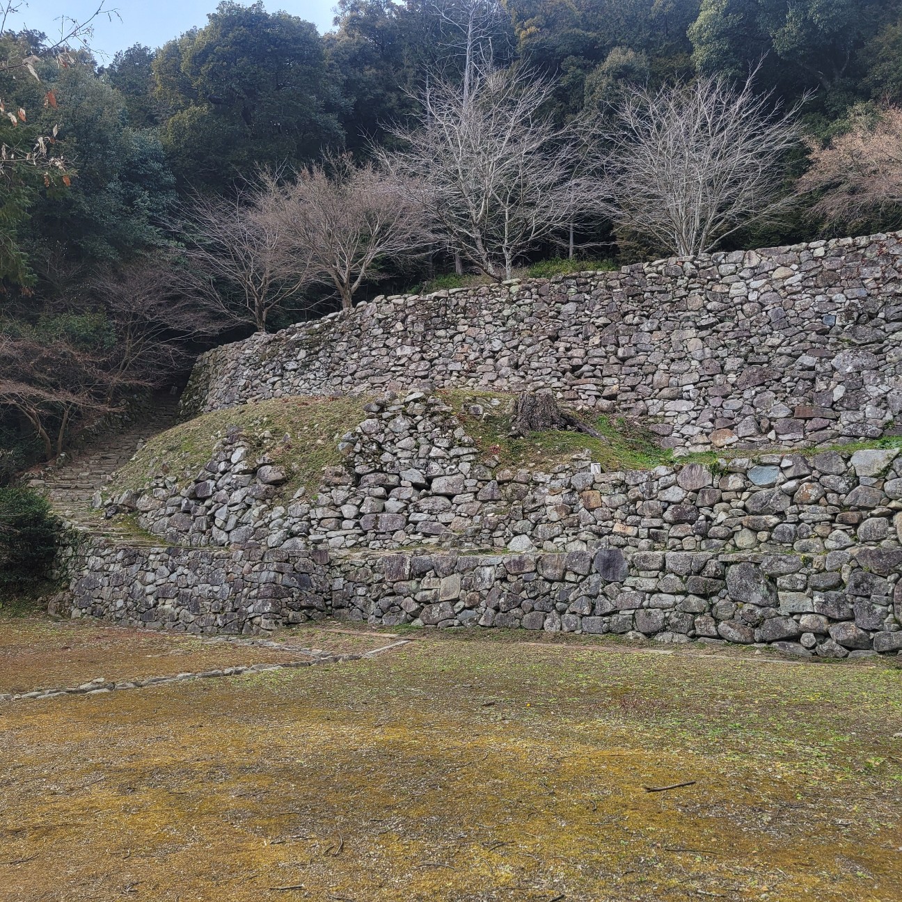 f:id:atoriatoriatori:20260225095805j:image f:id:atoriatoriatori:20260225095805j:image