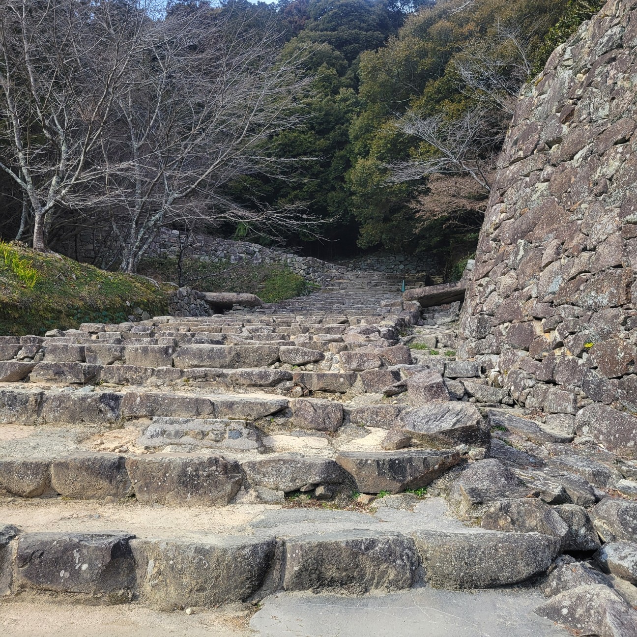 f:id:atoriatoriatori:20260225102442j:image f:id:atoriatoriatori:20260225102442j:image