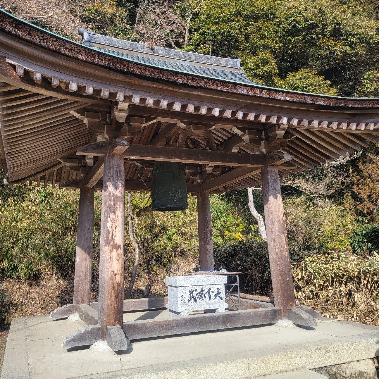 f:id:atoriatoriatori:20260225102808j:image f:id:atoriatoriatori:20260225102808j:image