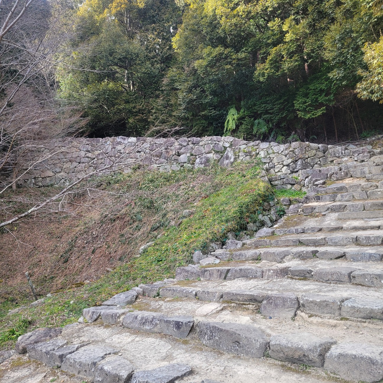 f:id:atoriatoriatori:20260225104515j:image f:id:atoriatoriatori:20260225104515j:image