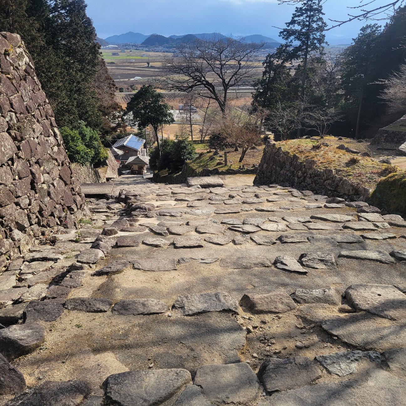 f:id:atoriatoriatori:20260225104528j:image f:id:atoriatoriatori:20260225104528j:image
