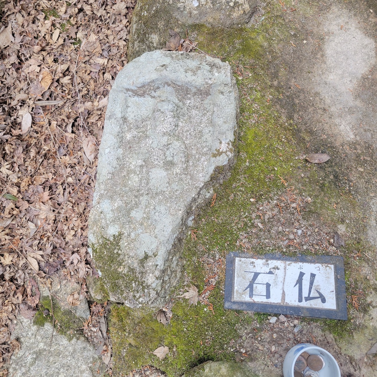 f:id:atoriatoriatori:20260225104834j:image f:id:atoriatoriatori:20260225104834j:image