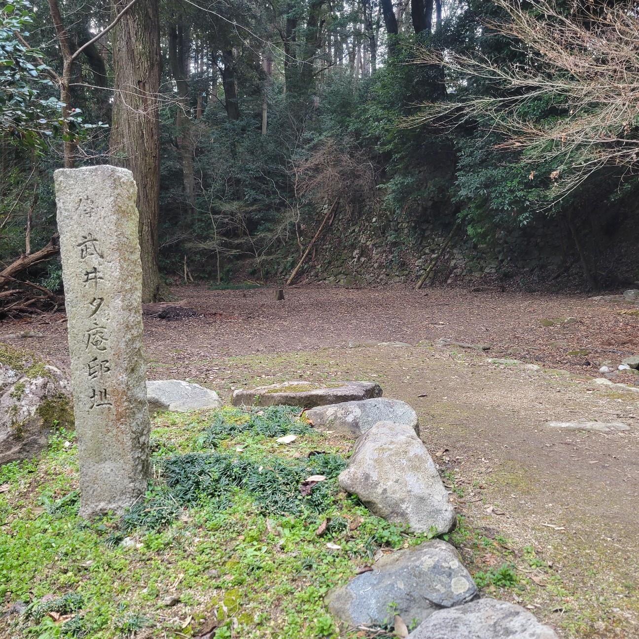 f:id:atoriatoriatori:20260225105200j:image f:id:atoriatoriatori:20260225105200j:image
