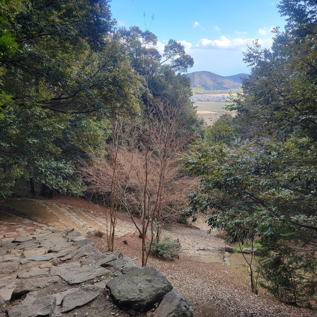 f:id:atoriatoriatori:20260225105201j:image f:id:atoriatoriatori:20260225105201j:image