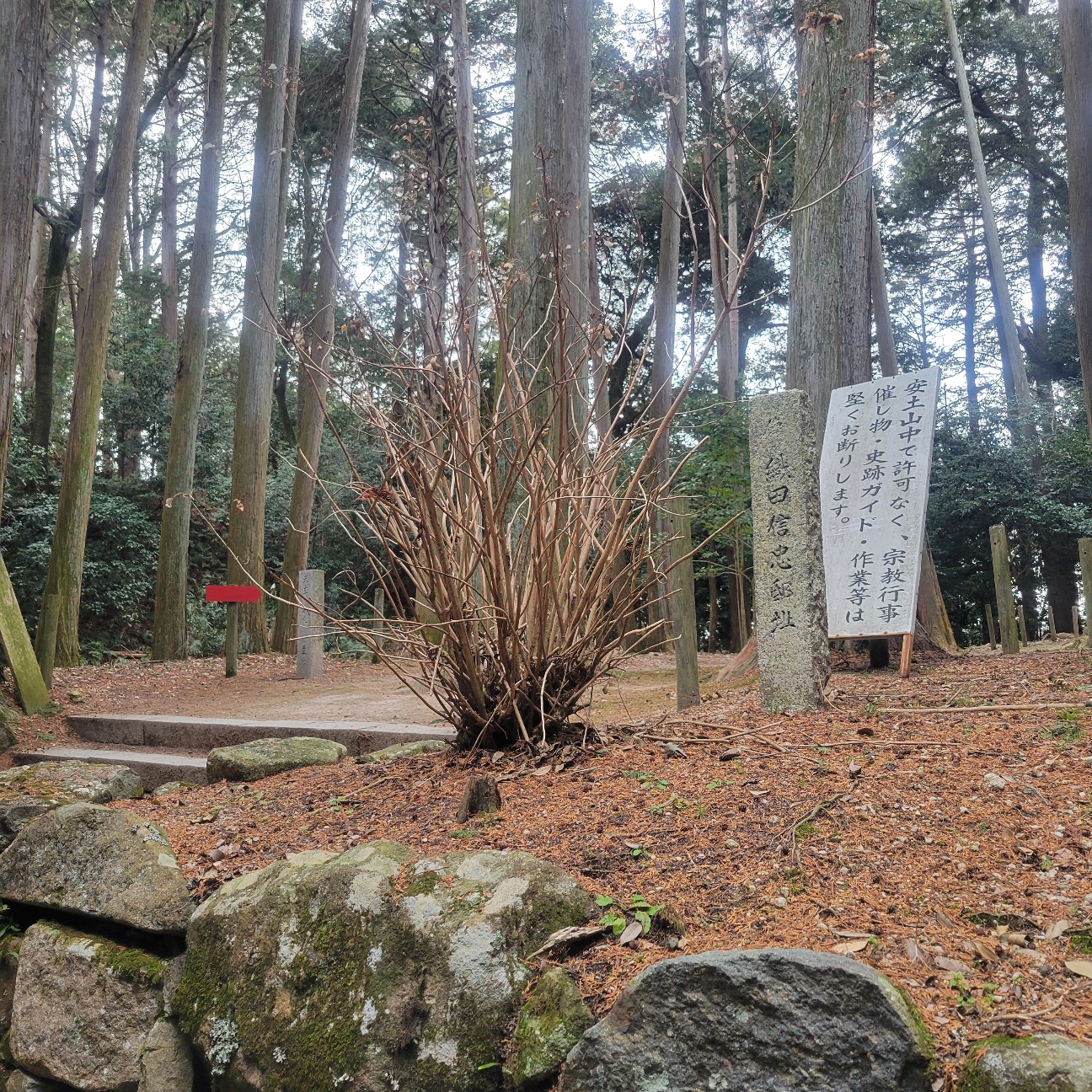 f:id:atoriatoriatori:20260225105204j:image f:id:atoriatoriatori:20260225105204j:image