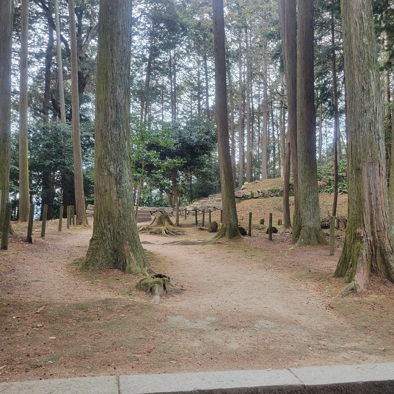 f:id:atoriatoriatori:20260225105205j:image f:id:atoriatoriatori:20260225105205j:image