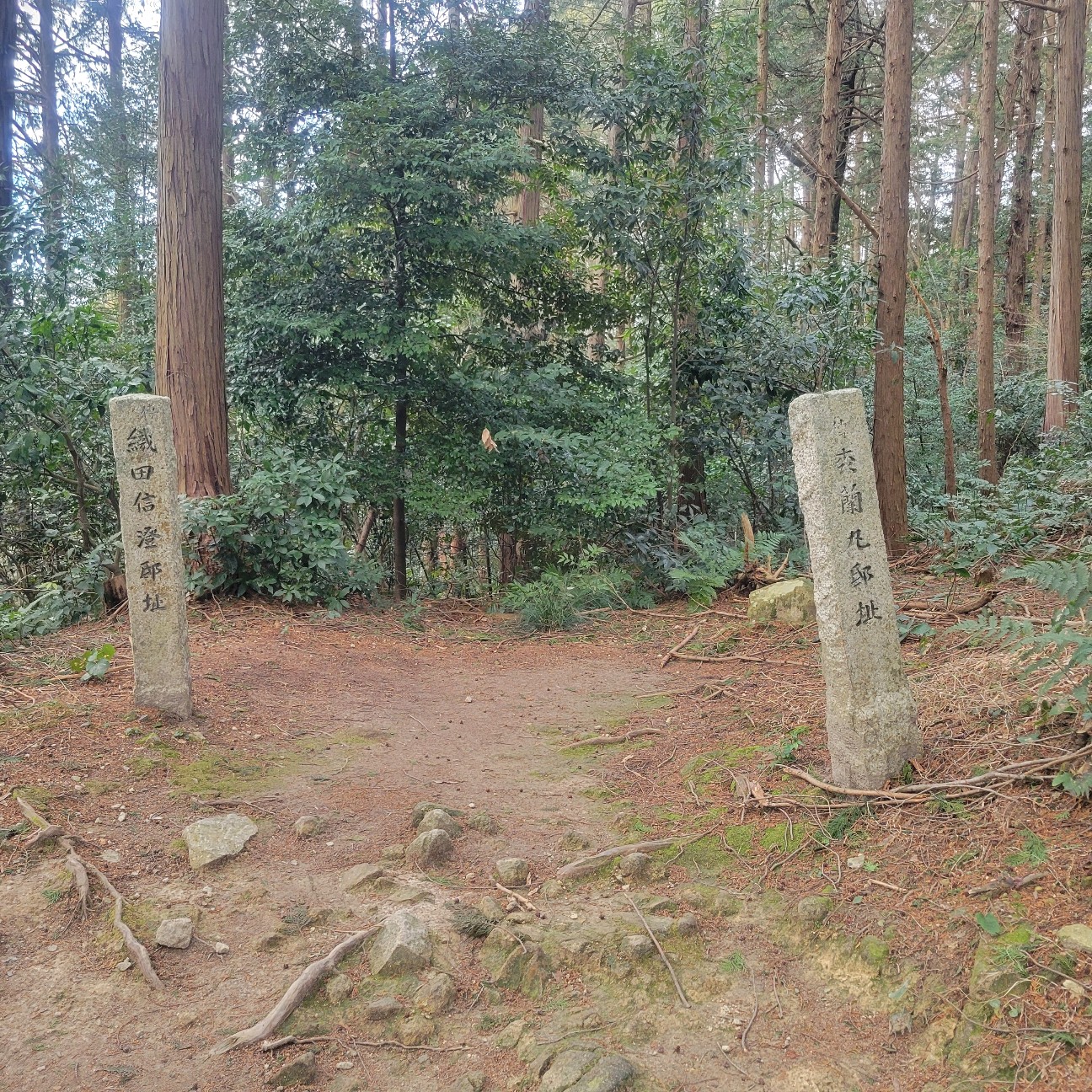 f:id:atoriatoriatori:20260225105556j:image f:id:atoriatoriatori:20260225105556j:image
