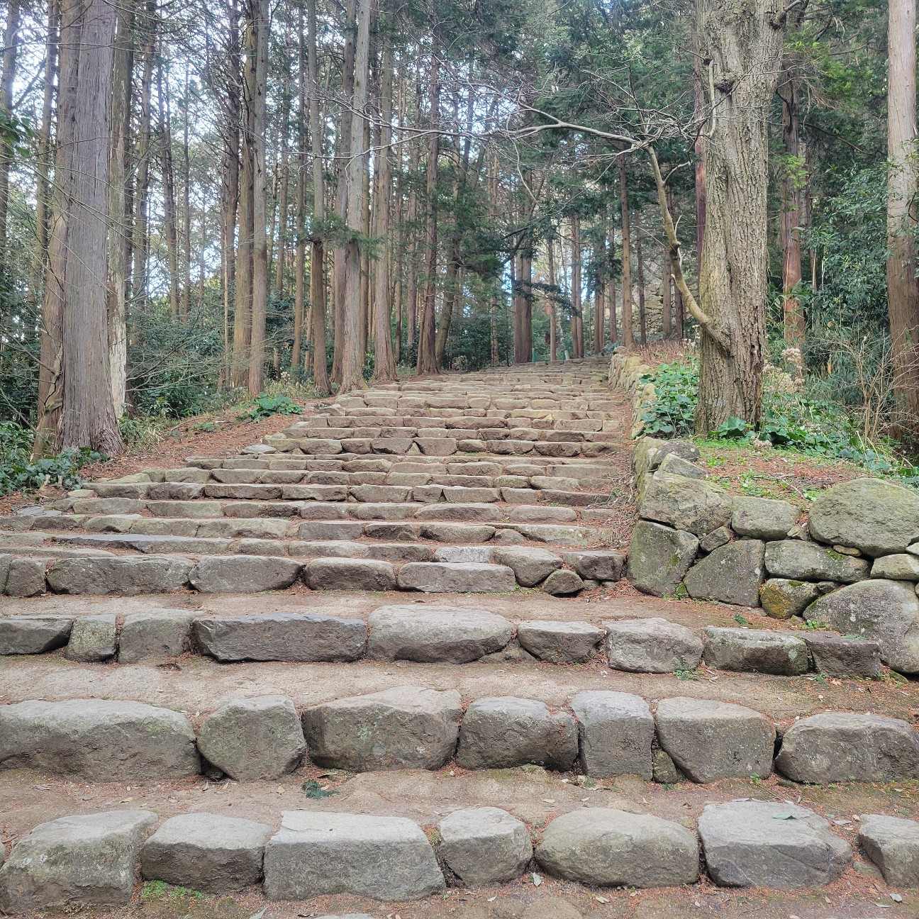 f:id:atoriatoriatori:20260225105557j:image f:id:atoriatoriatori:20260225105557j:image
