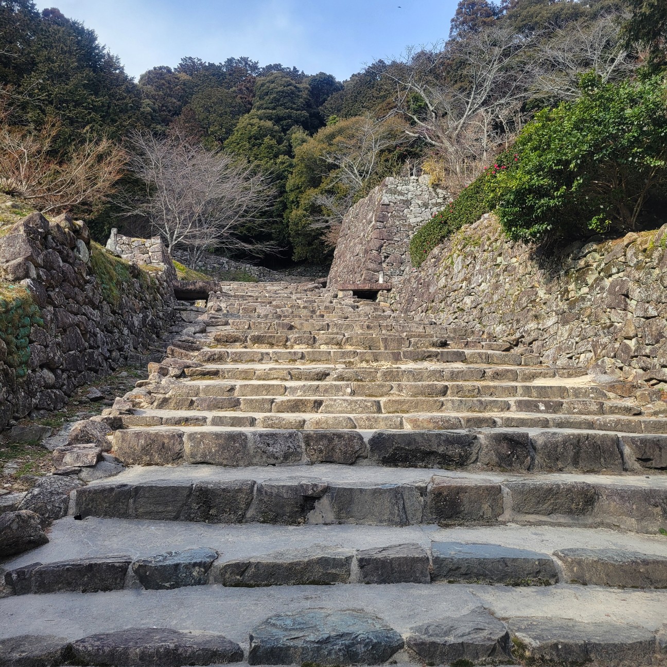 f:id:atoriatoriatori:20260225110050j:image f:id:atoriatoriatori:20260225110050j:image