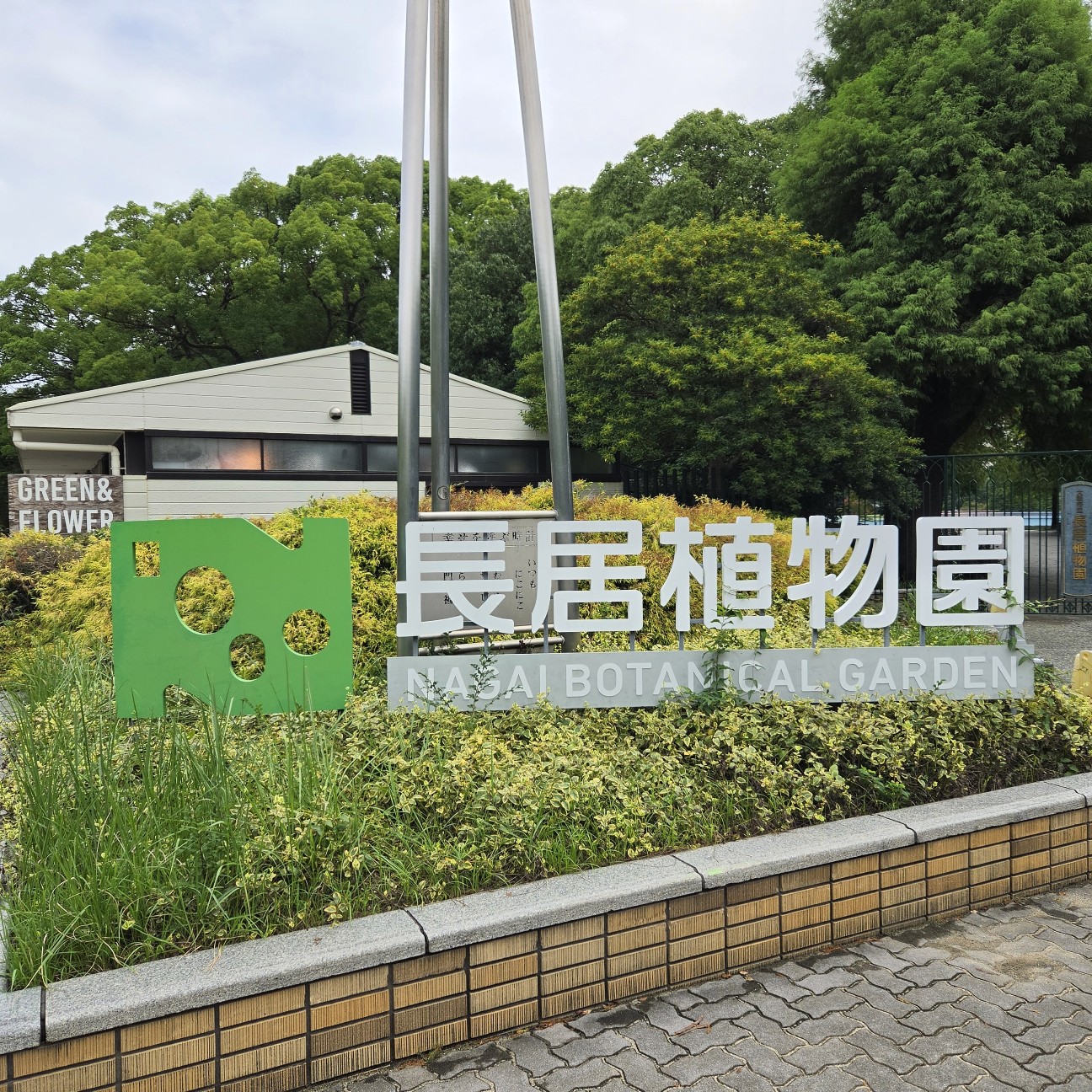 大阪】『長居植物園』 サルスベリ ホワイトビンカ - あとりのやっぱり