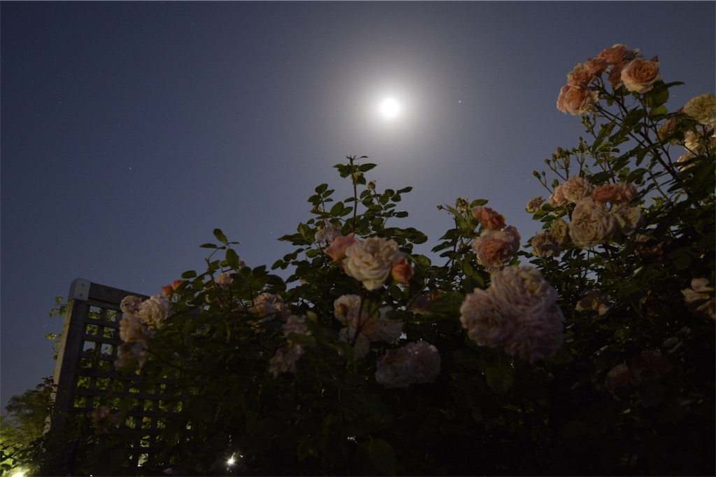f:id:atrayuki:20180527205208j:image