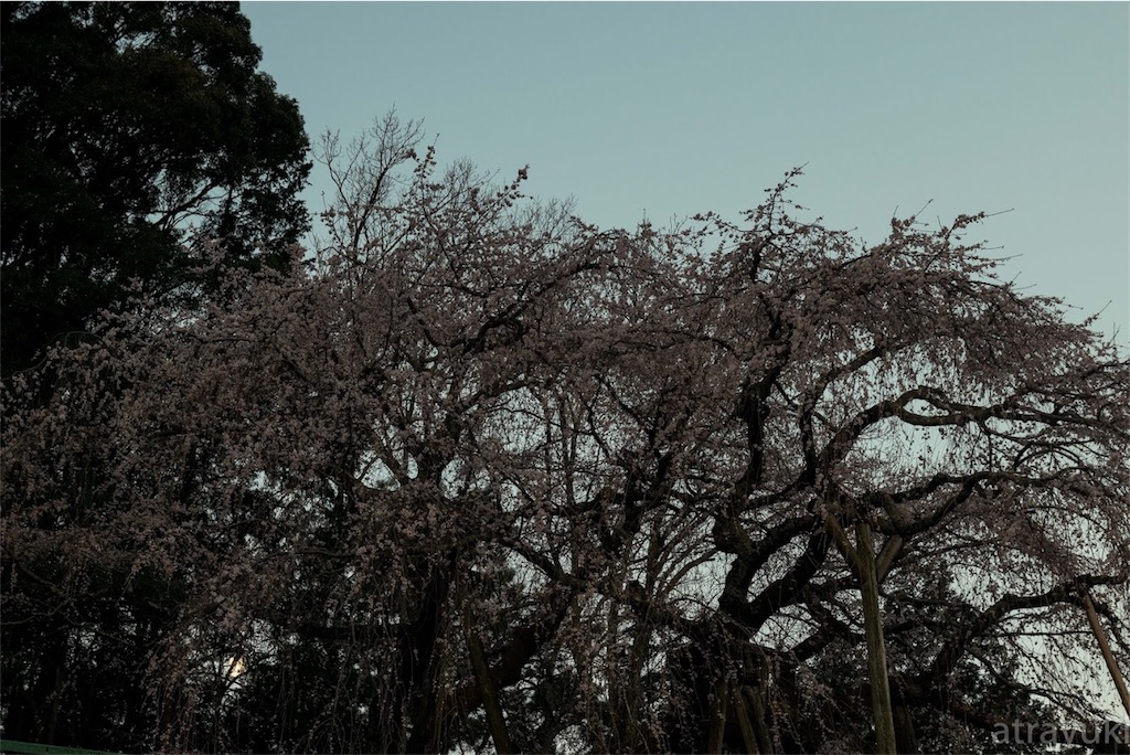 f:id:atrayuki:20190327145003j:image