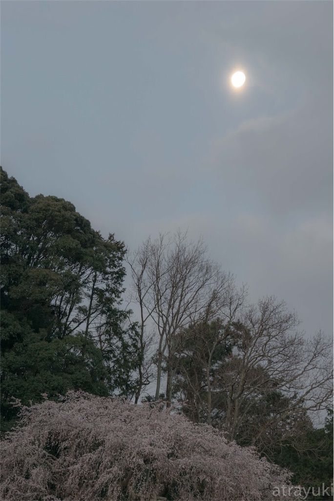 f:id:atrayuki:20190327145008j:image