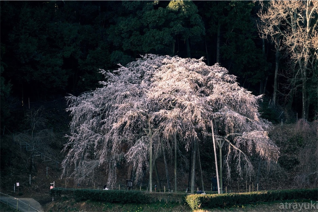 f:id:atrayuki:20190327145013j:image
