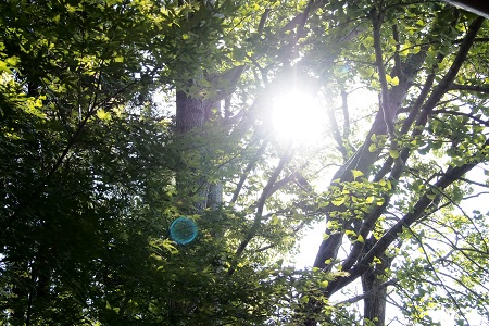 f:id:ats-forldn2012:20190511103948j:plain