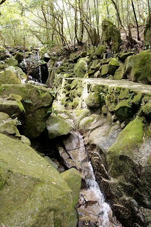 f:id:ats-forldn2012:20190511104119j:plain f:id:ats-forldn2012:20190511104119j:plain