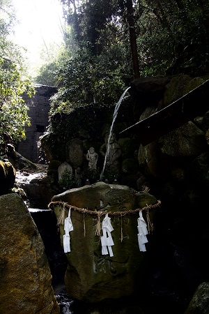 f:id:ats-forldn2012:20190511190250j:plain f:id:ats-forldn2012:20190511190250j:plain