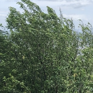 f:id:ats-forldn2012:20190519170250j:plain f:id:ats-forldn2012:20190519170250j:plain