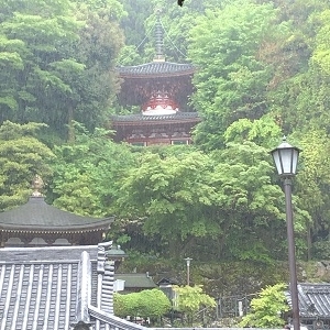 f:id:ats-forldn2012:20190529214723j:plain